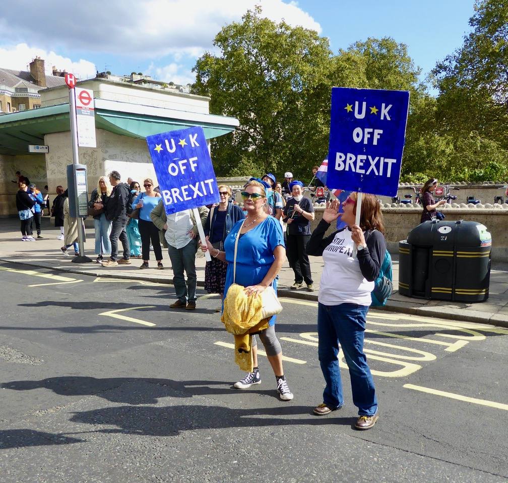 Pro-EU demonstrators carrying placards at a march in London
