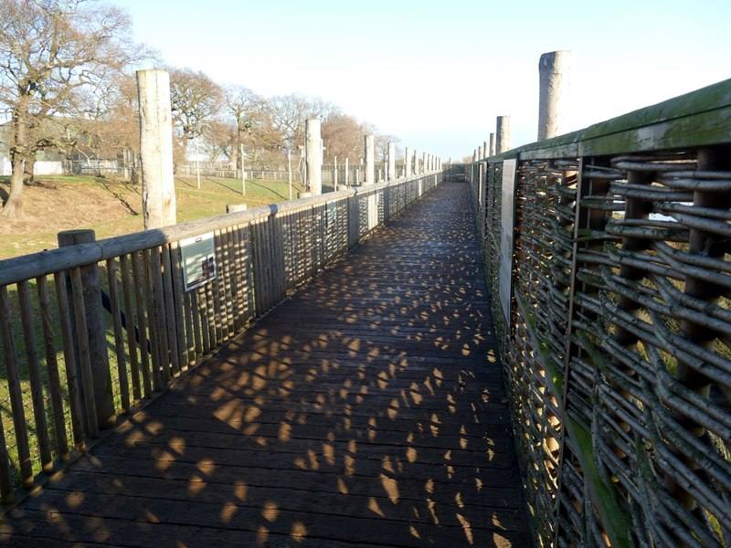 A raised wooden viewing walkway above the tiger enclosure at Yorkshire Wildlife Park